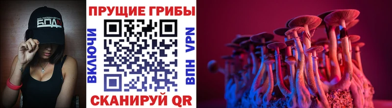 что такое наркотик  Нижние Серги  Псилоцибиновые грибы Psilocybine cubensis 